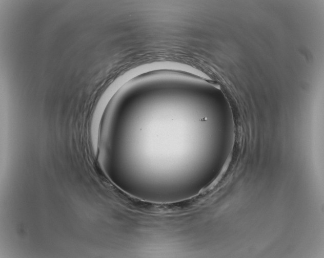 X0000113040613200909101919