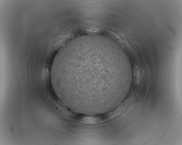 X0000113040614200909101919