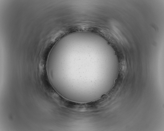 X0000113040615200909101919