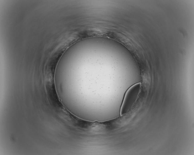 X0000113040617200909101919