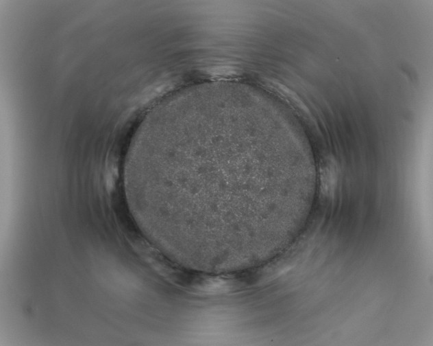 X0000113040618200909101919