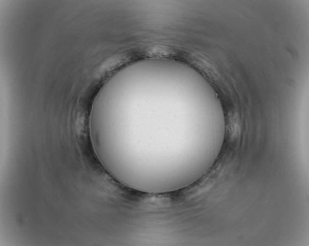 X0000113040619200909101919