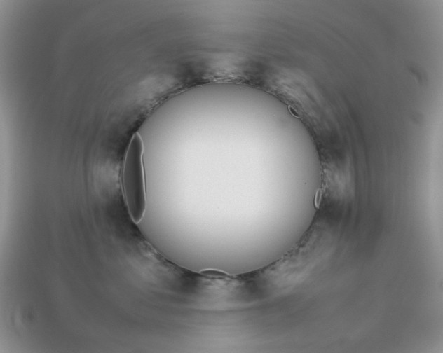 X0000113040621200909101919