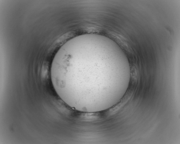 X0000113040622200909101919