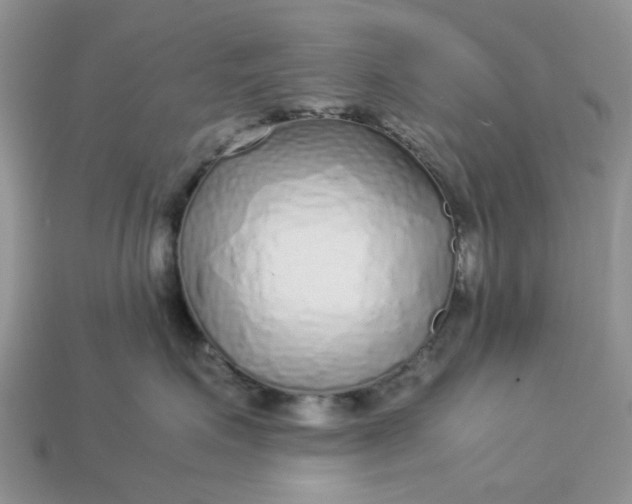 X0000113040623200909101919