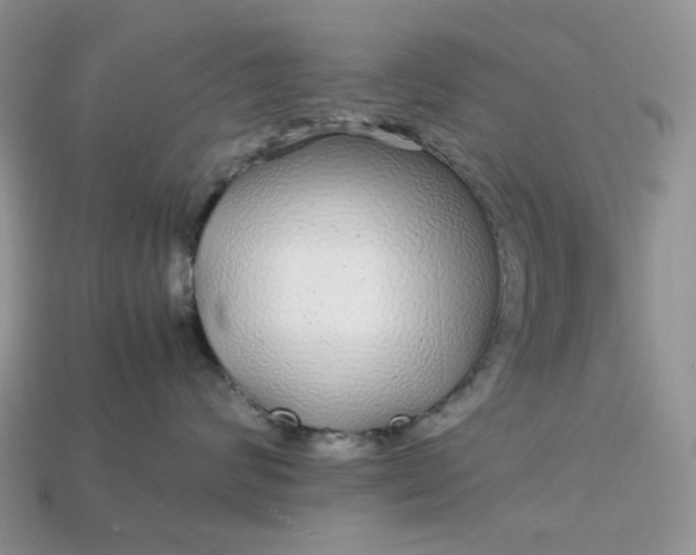 X0000113040624200909101919