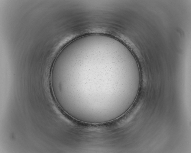 X0000113040625200909101918
