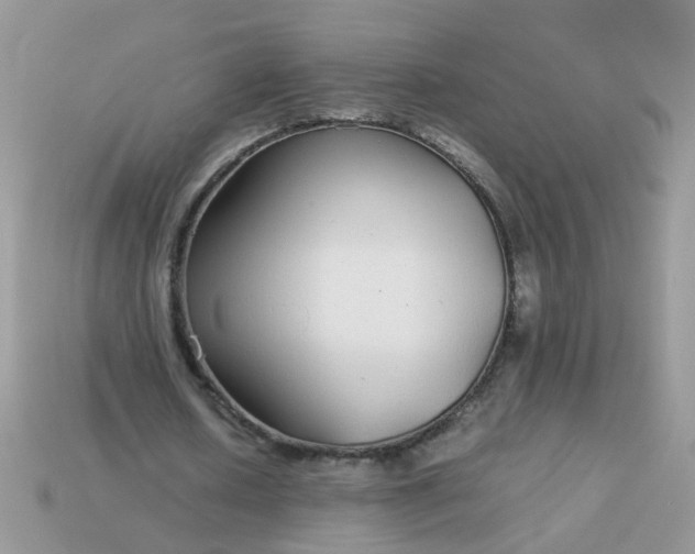 X0000113040626200909101918