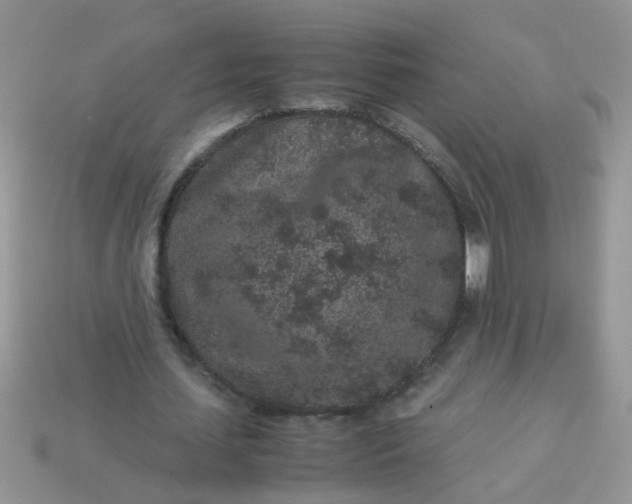 X0000113040627200909101918