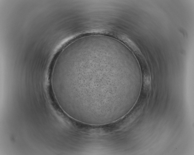 X0000113040628200909101919