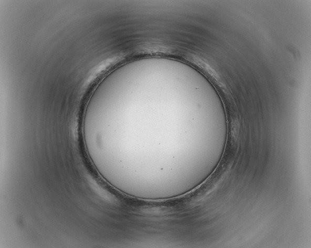 X0000113040629200909101919