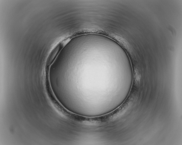 X0000113040630200909101919