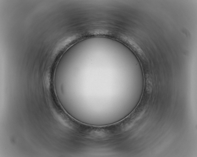 X0000113040631200909101919