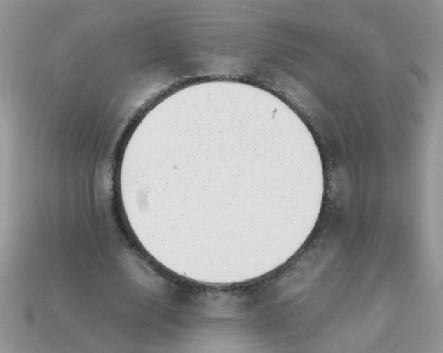 X0000113040632200909101919