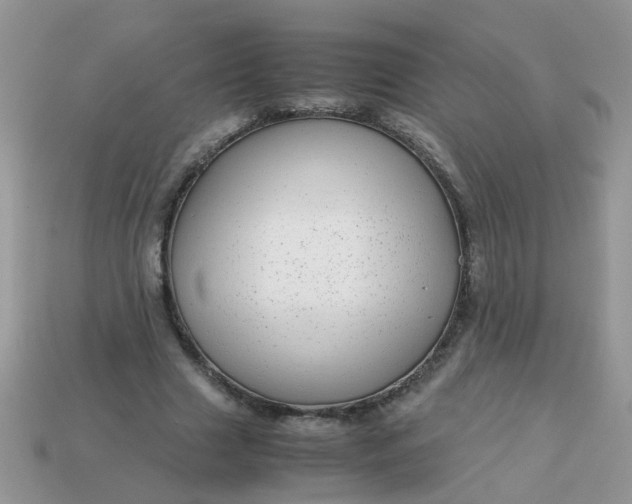 X0000113040633200909101919