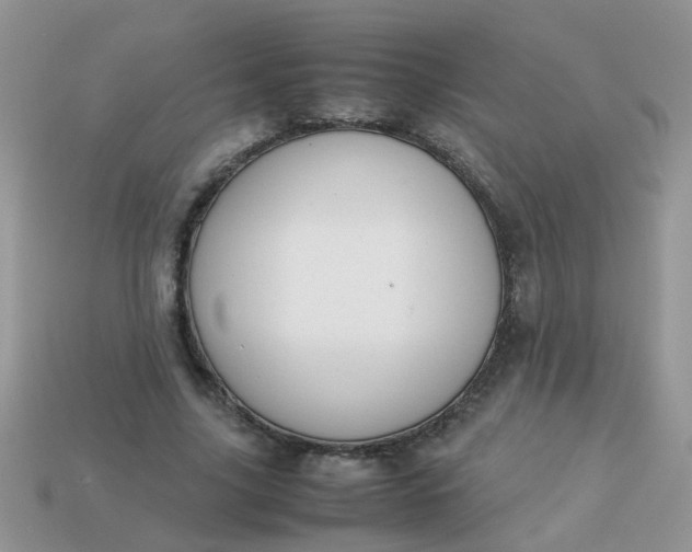 X0000113040635200909101919