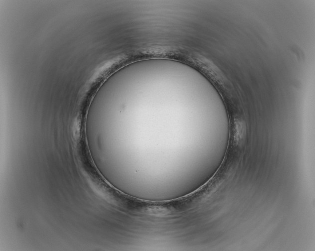 X0000113040636200909101919