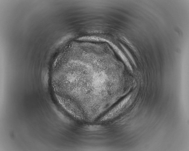 X0000113040637200909101919