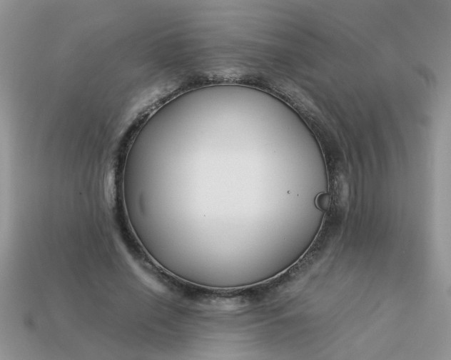 X0000113040638200909101919