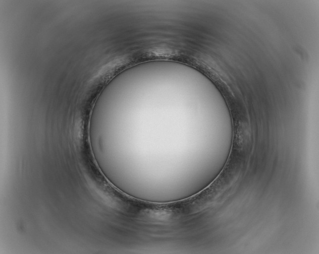X0000113040639200909101919