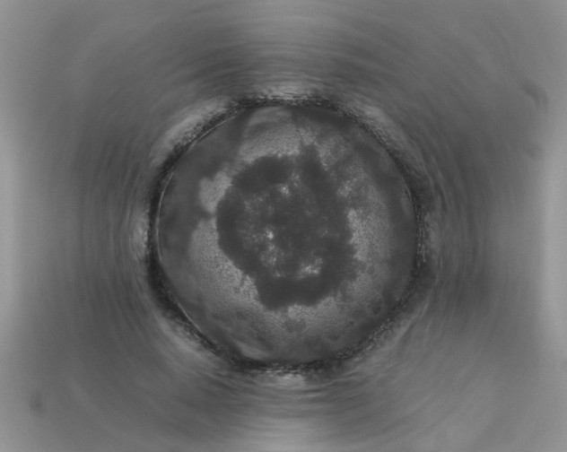 X0000113040640200909101919