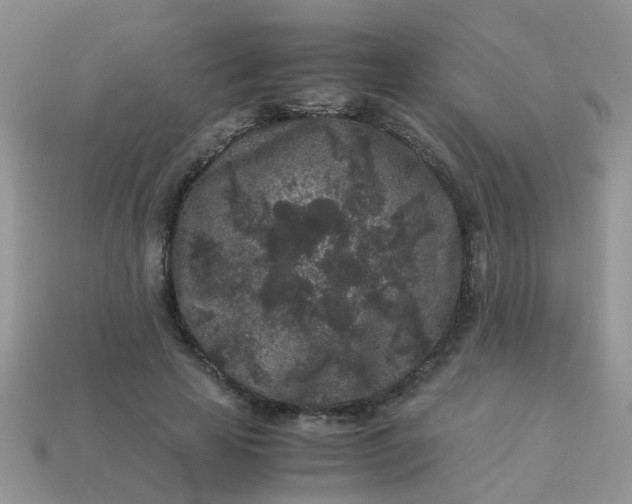 X0000113040641200909101919