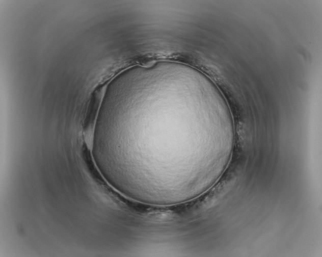 X0000113040642200909101919