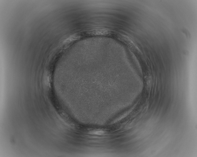 X0000113040643200909101919