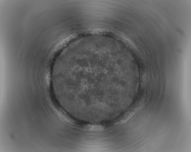 X0000113040644200909101919