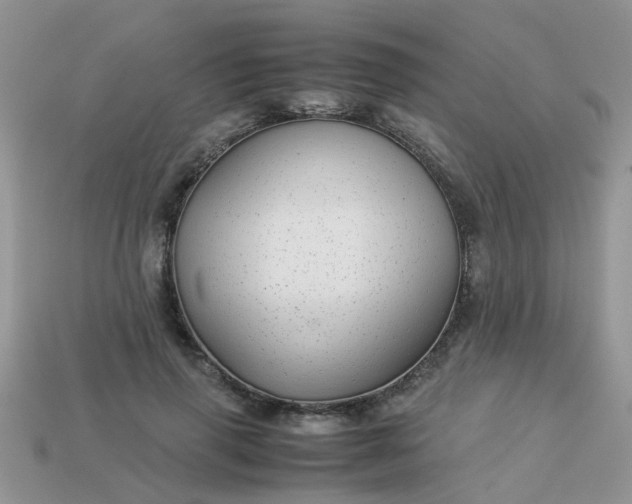 X0000113040645200909101919