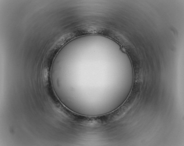 X0000113040646200909101919