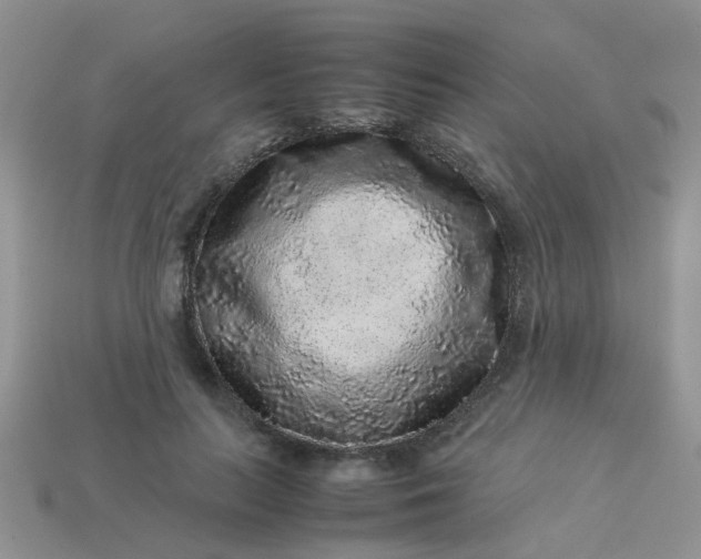 X0000113040647200909101919