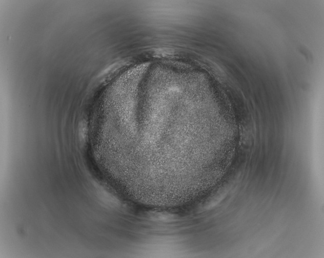 X0000113040648200909101919