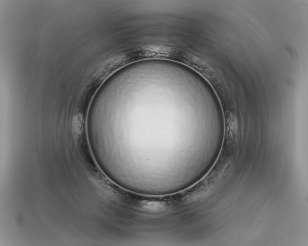 X0000113040649200909101919