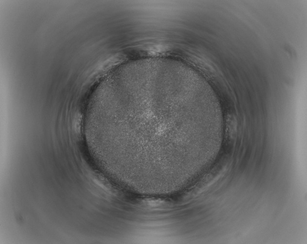 X0000113040650200909101919