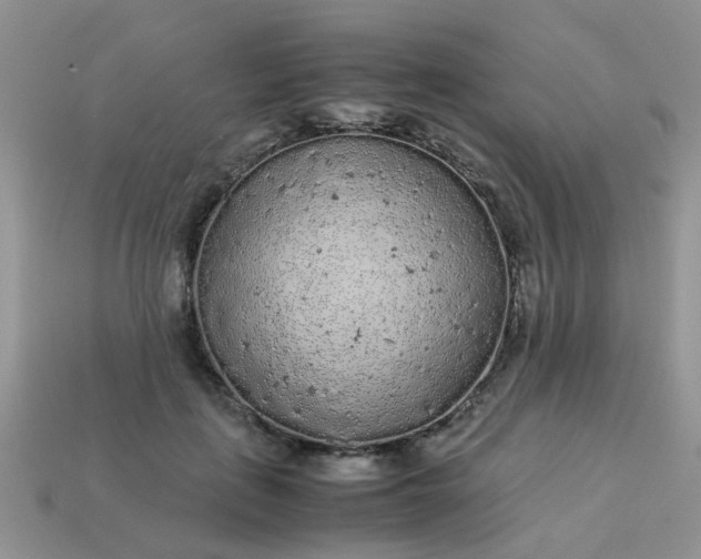 X0000113040651200909101919
