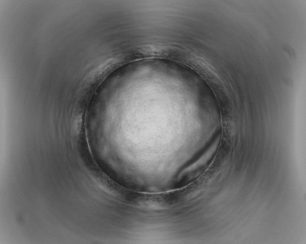 X0000113040652200909101919