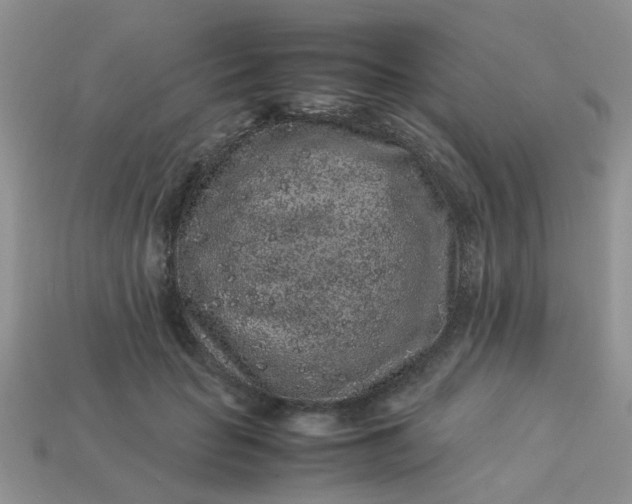 X0000113040653200909101919
