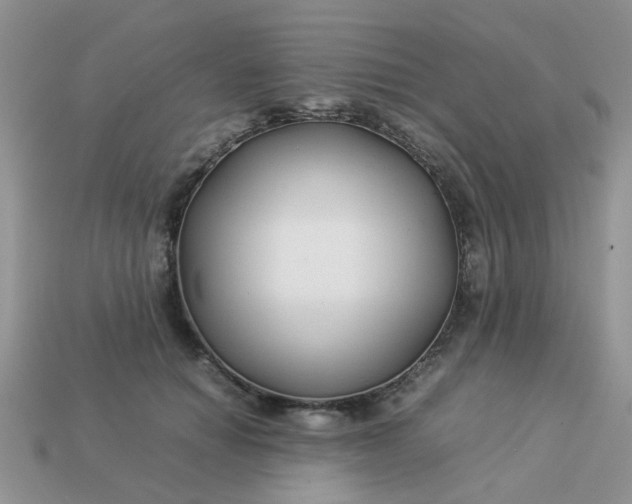 X0000113040654200909101919
