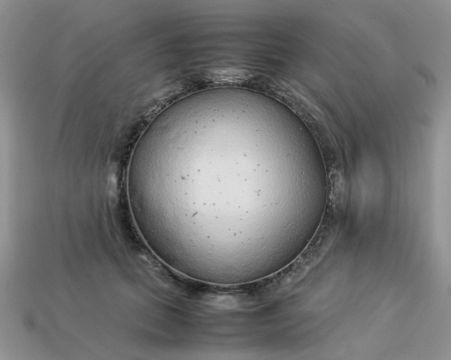 X0000113040655200909101919