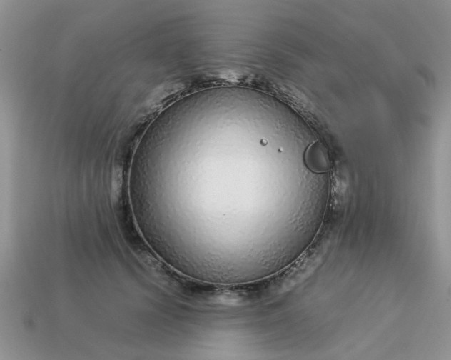 X0000113040656200909101919