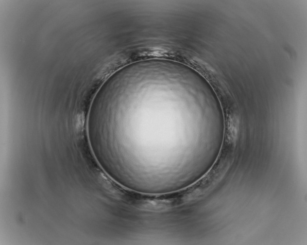 X0000113040657200909101919