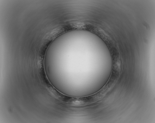 X0000113040658200909101919