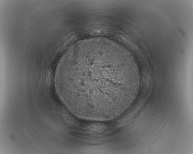 X0000113040659200909101919