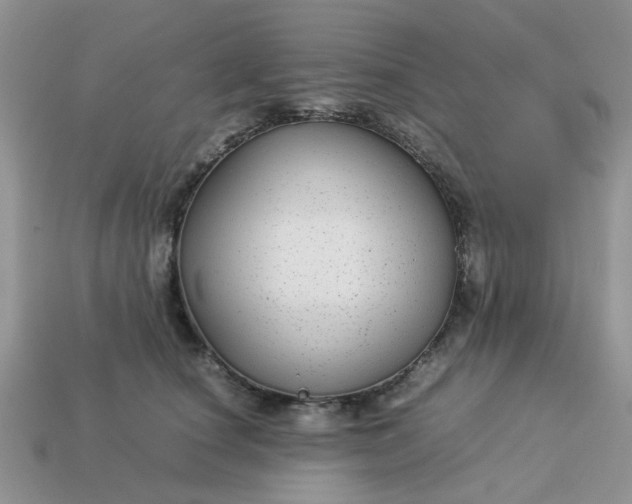 X0000113040660200909101919