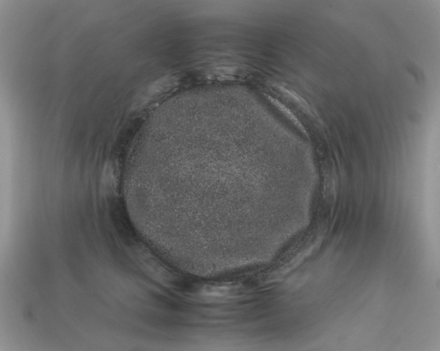 X0000113040661200909101919