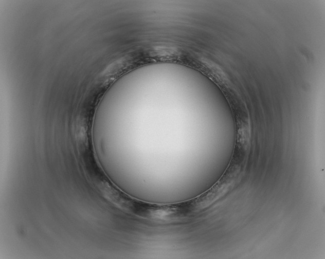 X0000113040662200909101919
