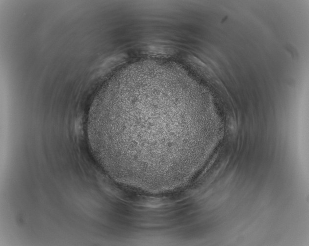 X0000113040663200909101919
