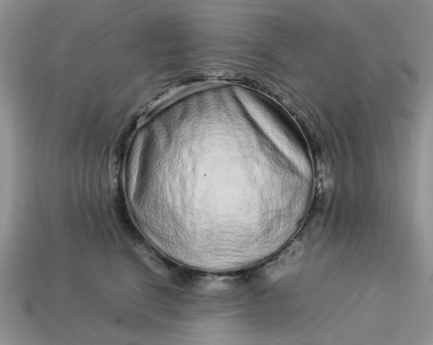 X0000113040664200909101919