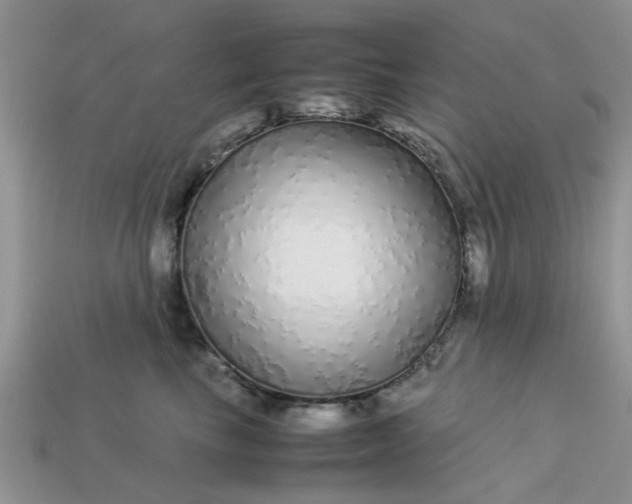 X0000113040665200909101919